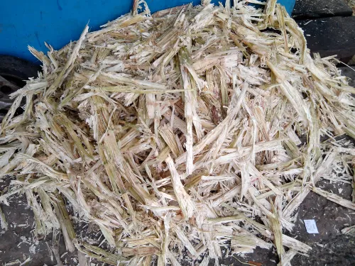 Sugarcane bagasse fibre material